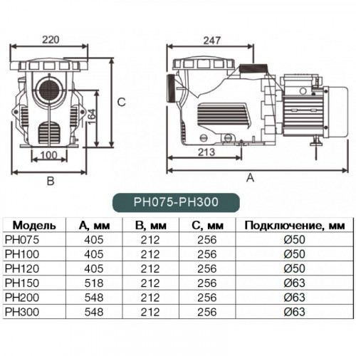 Насос Pool King PH300, 24,4 м³/час, 220В